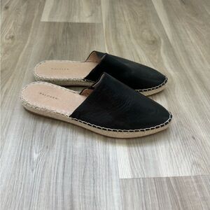 halogen new slides